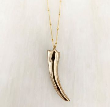 Show details for Tiger Tooth Picture of Tiger Tooth