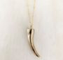 Picture of Tiger Tooth